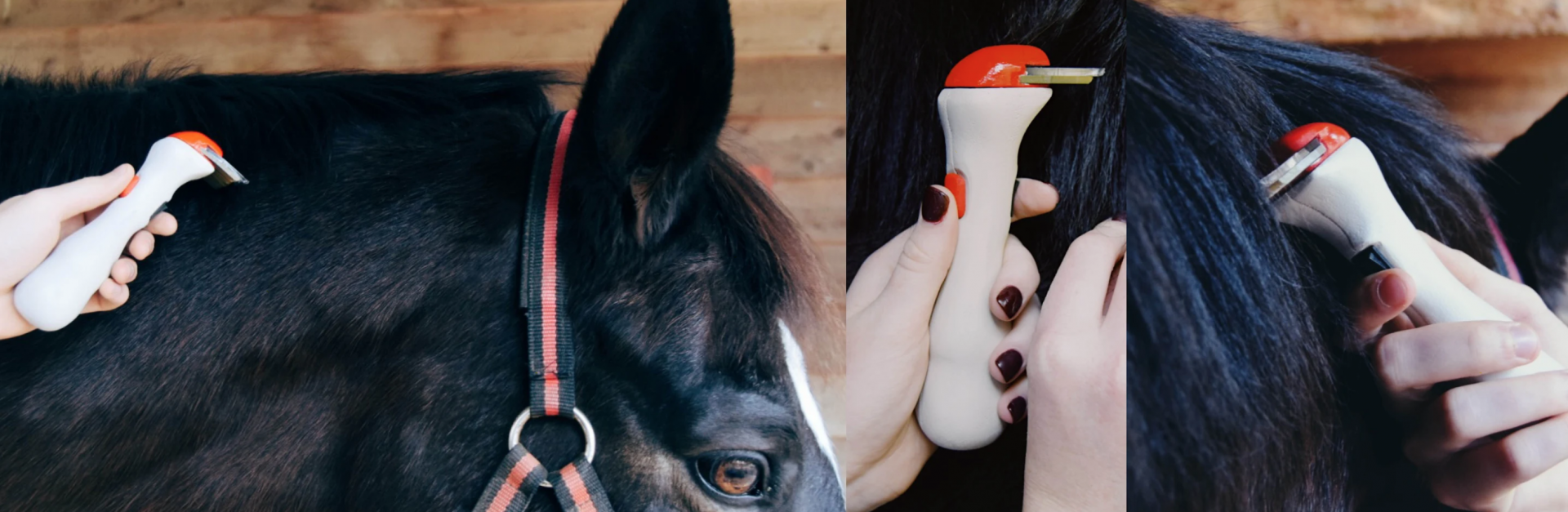 Three photos of a handtool being used on horse. 