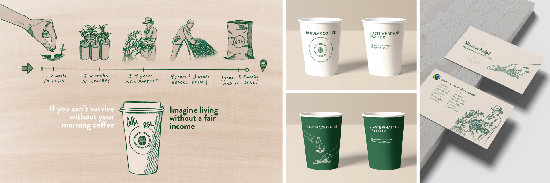 A step by step process of how fair trade coffee is grown and mockups of coffee cups and business cards
